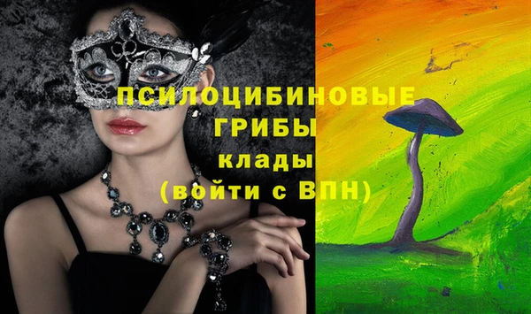 гашиш Магас