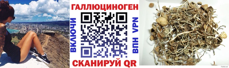 магазин продажи   hydra ТОР  Псилоцибиновые грибы мухоморы  Ильский 